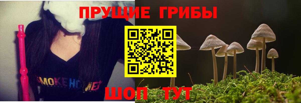 наркошоп  Галлюциногенные грибы мицелий  Псилоцибиновые грибы мухоморы  Вход с VPN  Губкинский 